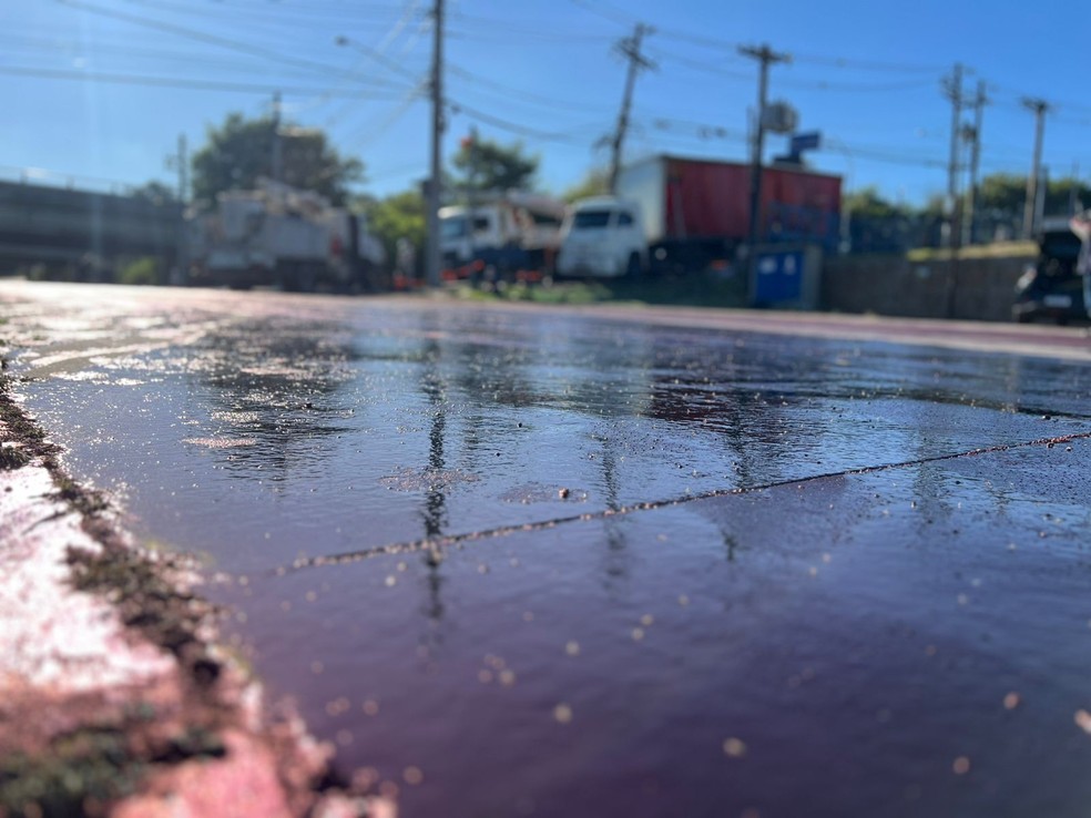 Carreta bateu em poste e carga de corante se espalhou por ruas e córrego de Jundiaí (SP); gansos e patos ficaram azuis — Foto: Regis Rosa/TV TEM