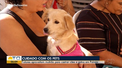 Tutores aproveitam mutirão para castrar pets em Palmas