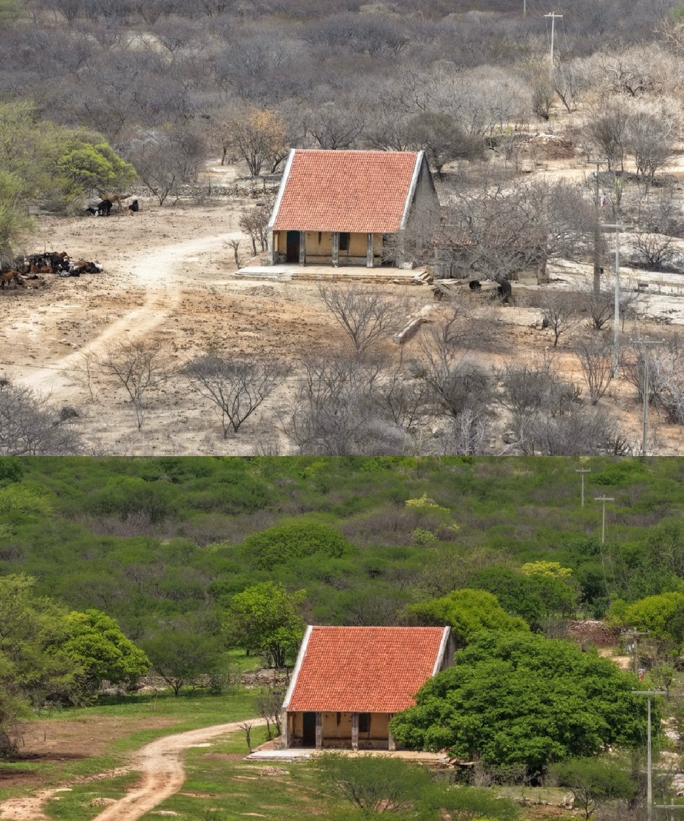 Fotos mostram antes e depois das chuvas no interior do RN — Foto: Daniel Medeiros