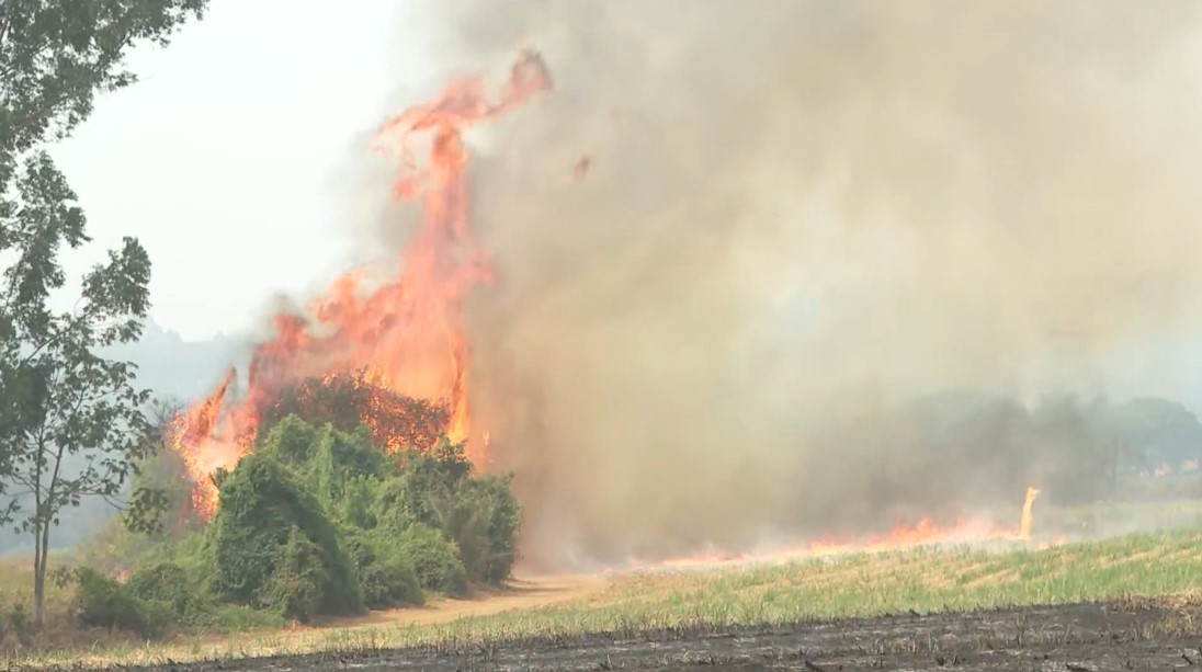 Incêndios em SP: 6 das 10 cidades com mais focos são da região de Ribeirão Preto