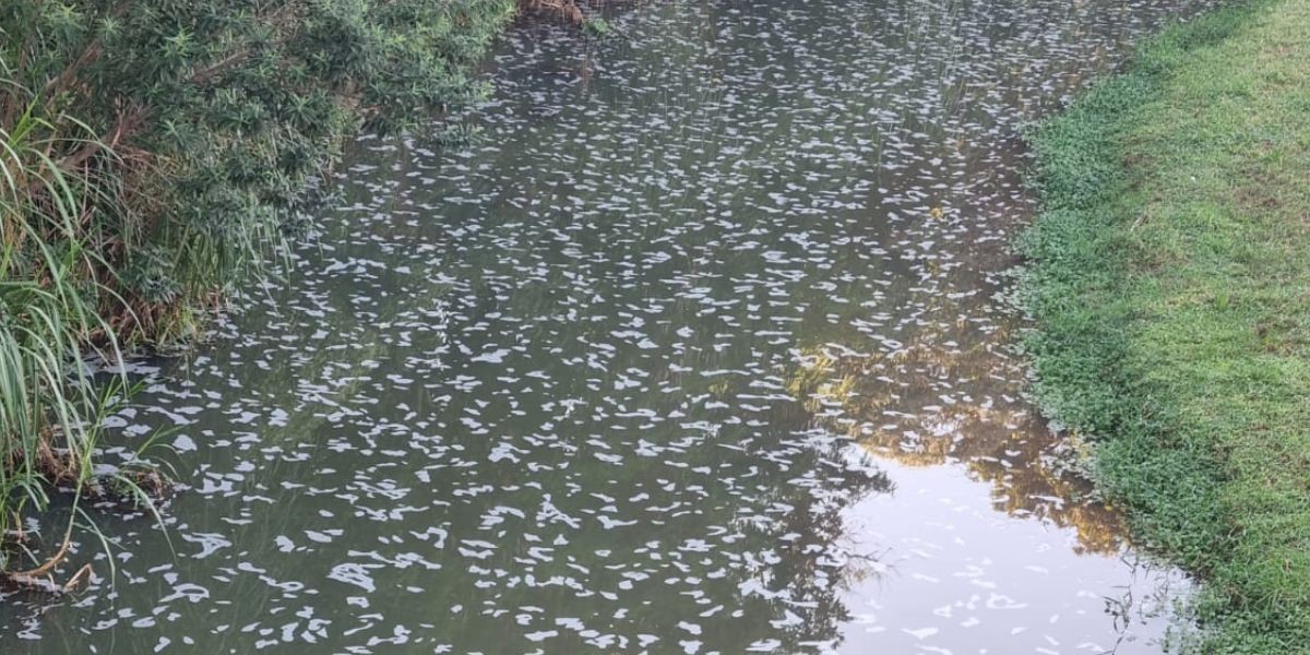 Erosão danifica tubulação de esgoto e espuma atinge o Rio Lavapés em Botucatu