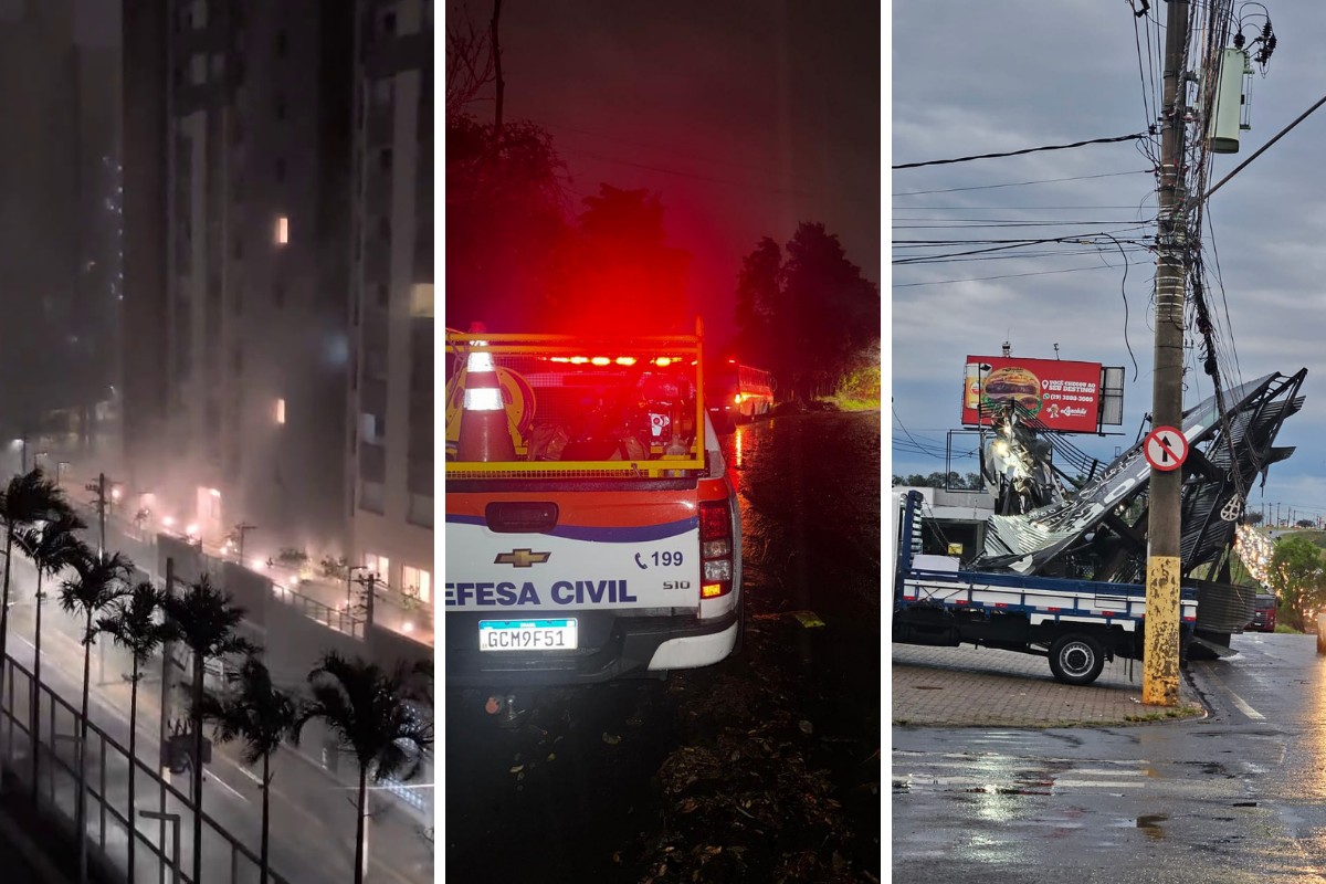 Chuva causa quedas de árvores, alagamento e destelhamento na região de Campinas