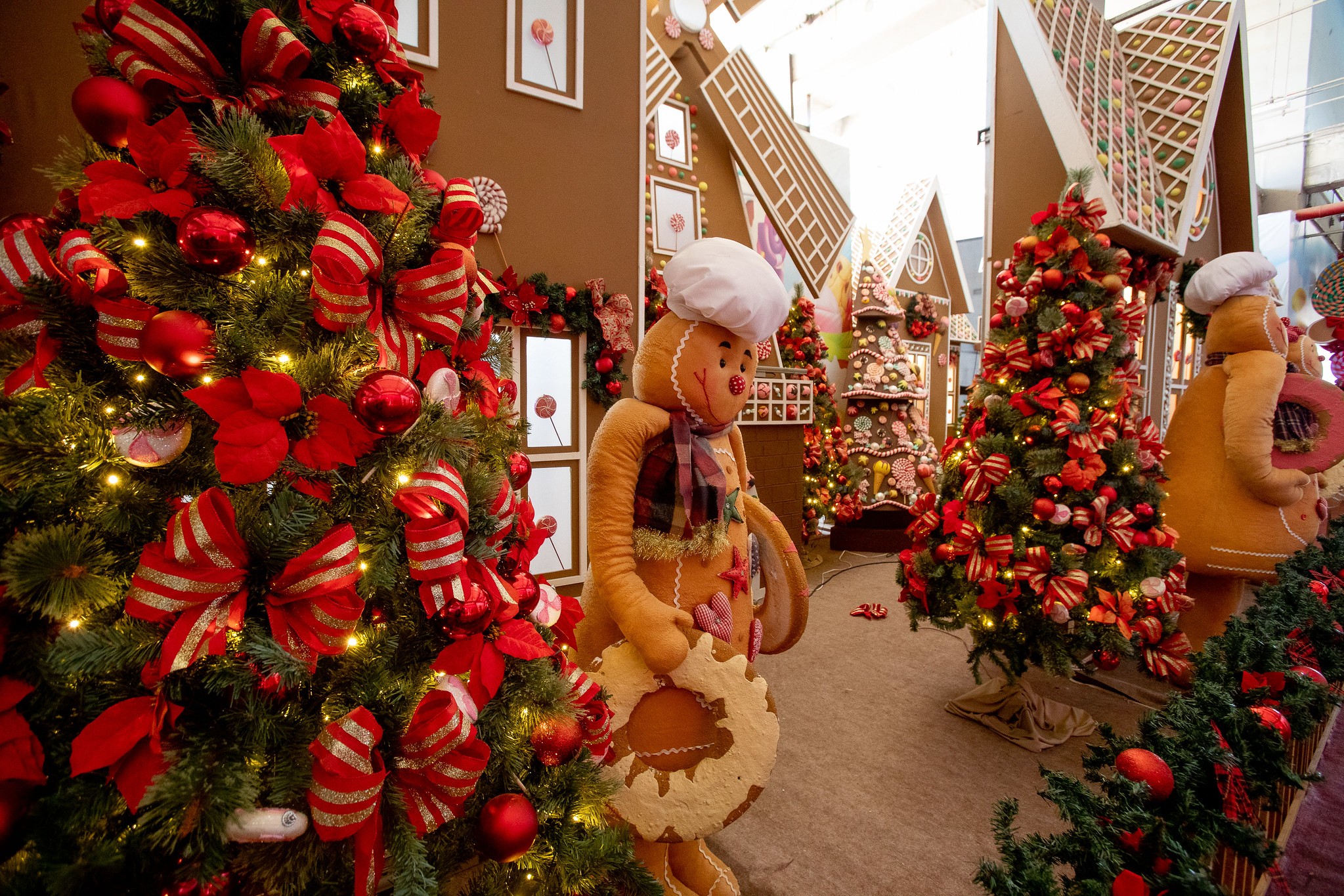 Temporada de Natal: onde encontrar o Papai Noel em Cuiabá e Várzea Grande (MT); confira programação