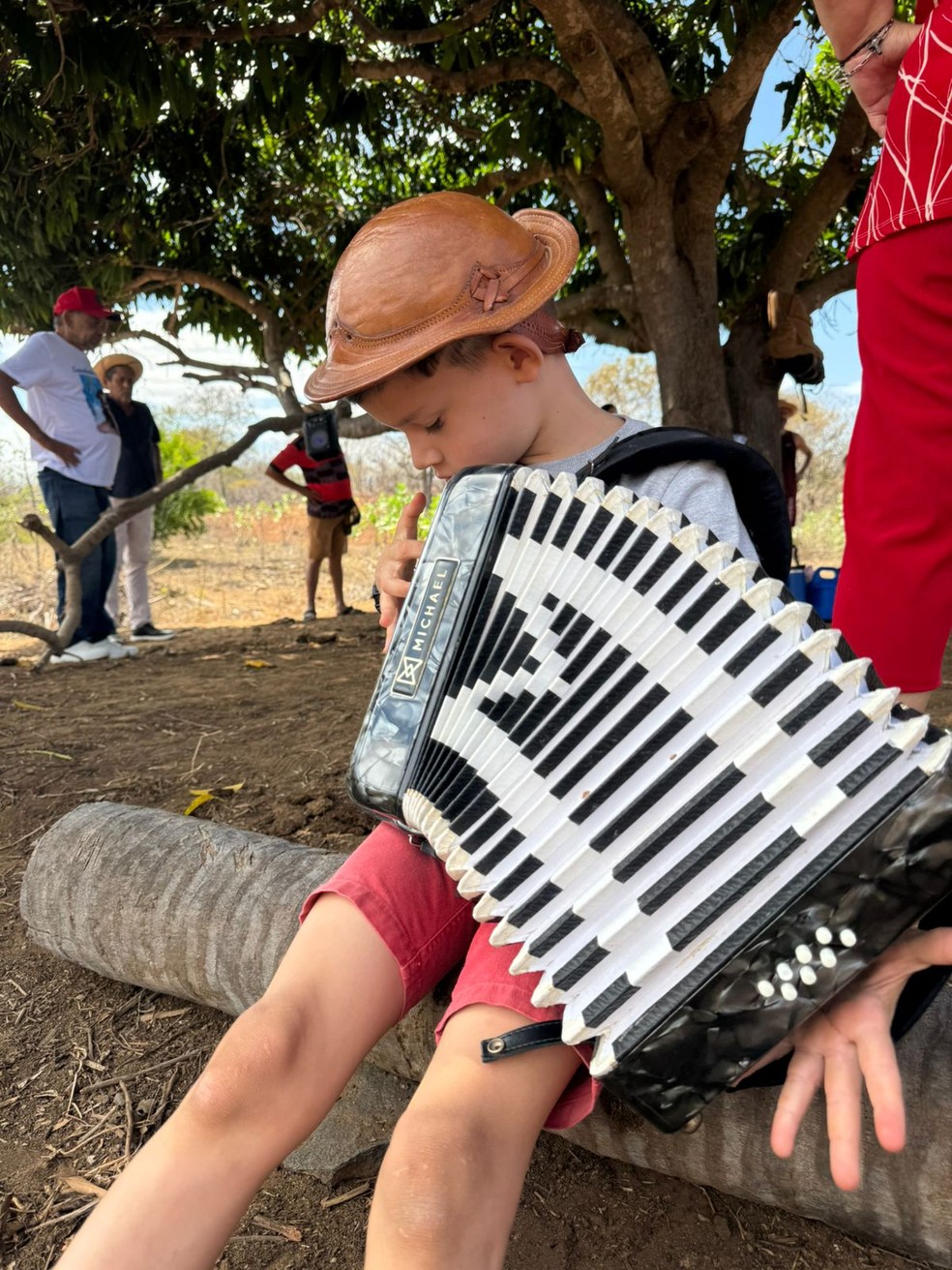 Alyf Gabriel, de 7 anos, sanfoneiro mirim de Sumé, Paraíba — Foto: Arquivo Pessoal/Marília Jéssica