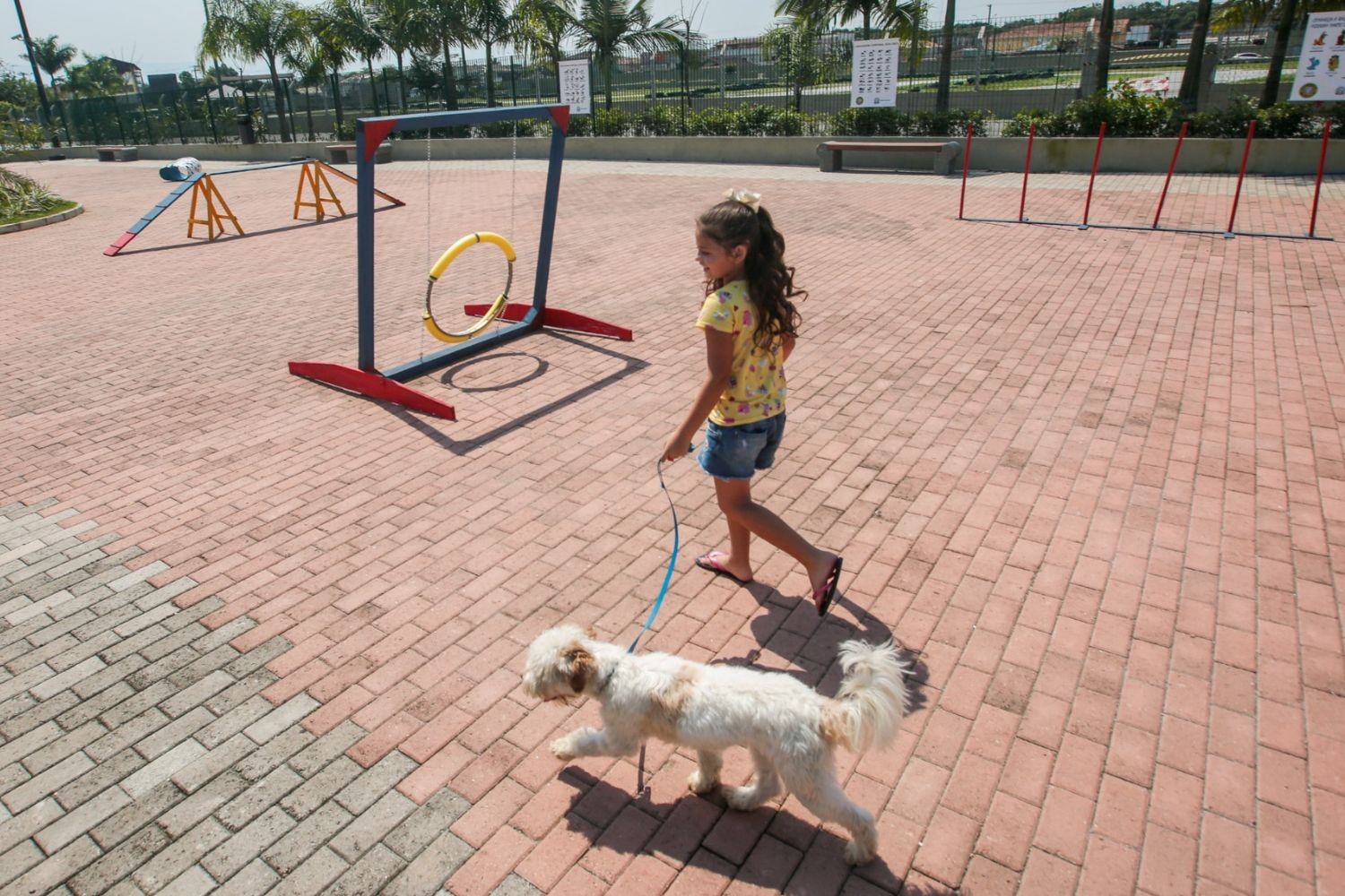 Santos, São Vicente e Praia Grande estão em guia de destinos pet friendly do estado de SP; VEJA