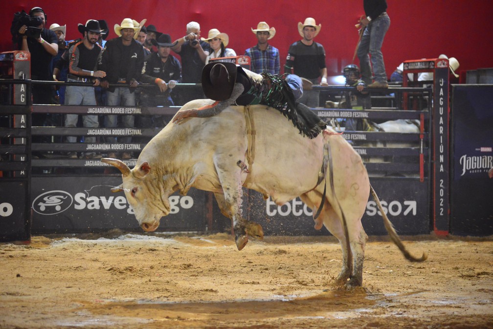 Rodeio de Jaguariuna 2022 - Juca - Guiche Web