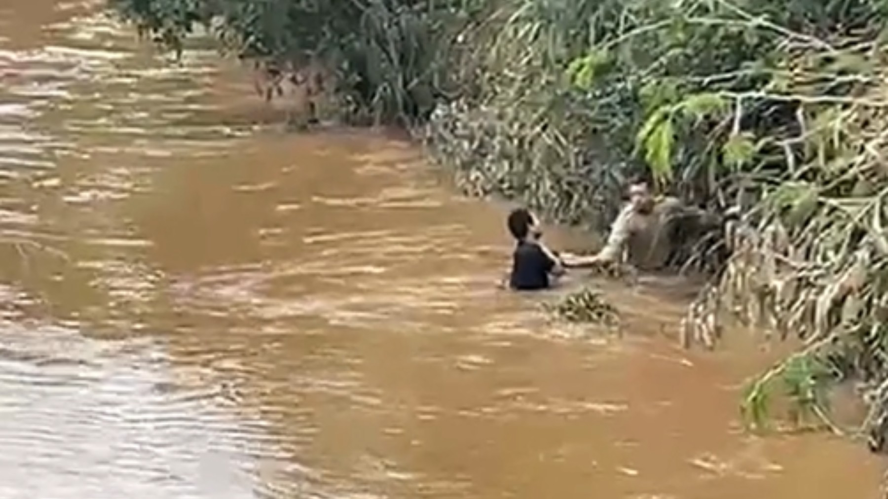 VÍDEO: foragido é preso pela polícia dentro de rio do PR após entrar na água para fugir de linchamento e ter que pedir ajuda para conseguir sair 