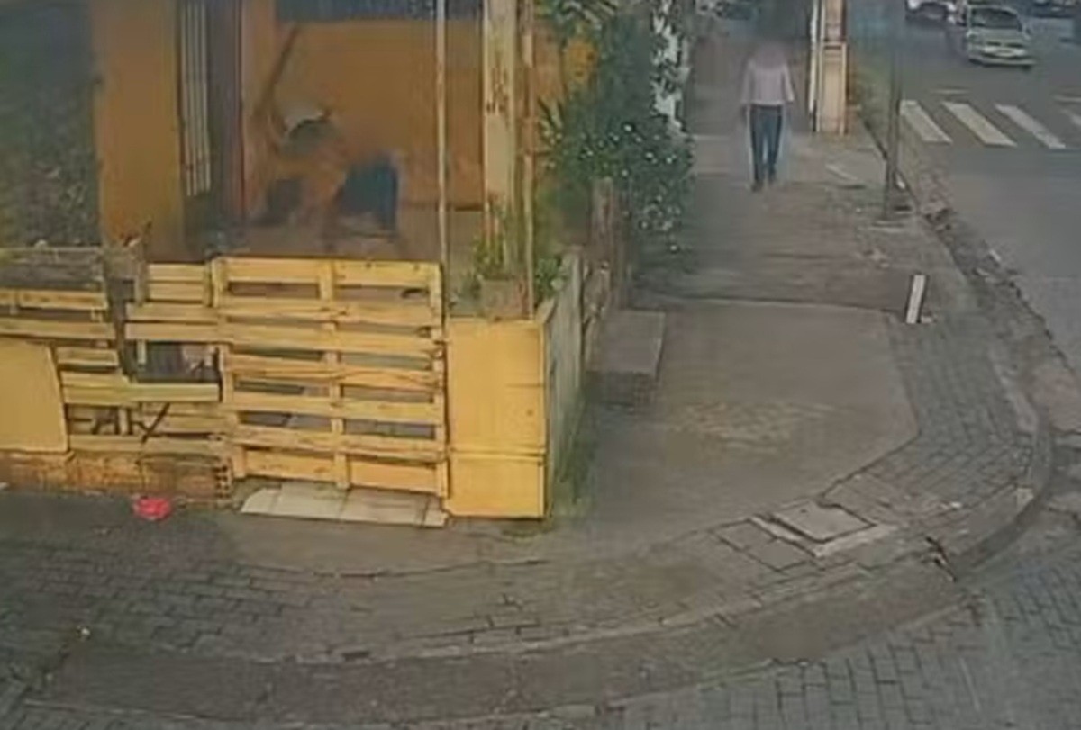 Homem em situação de rua é morto a pauladas enquanto dormia em Boa Viagem; vídeo mostra crime
