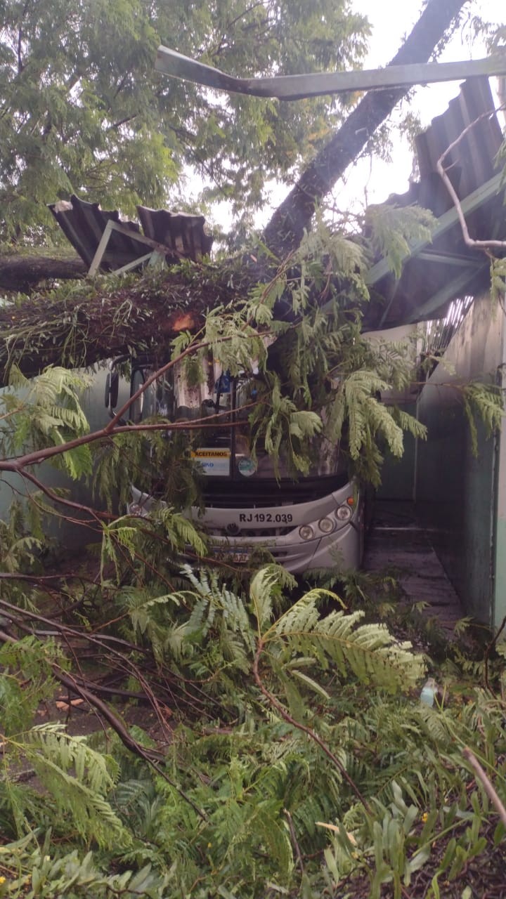 Chuva forte e ventania derrubam árvore e galhos em Resende