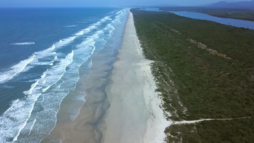 Conheça os parentes das curicacas, guarás e colhereiros, Terra da Gente