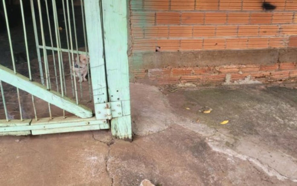 Calçada em que bebê com cordão umbilical foi encontrado, em Rio Verde, Goiás — Foto: Reprodução/TV Anhanguera