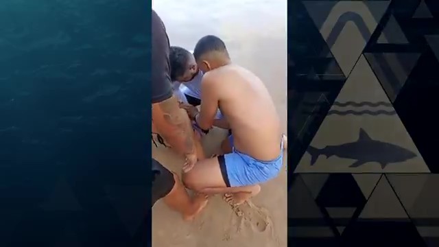 Dois ataques em menos de 24h: veja detalhes exclusivos sobre incidentes com tubarão no litoral de Pernambuco 