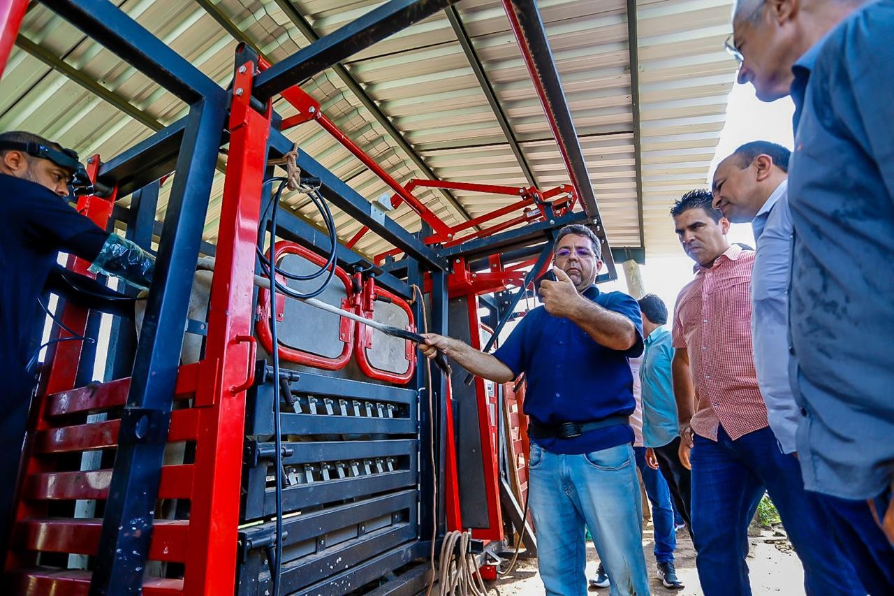 Piauí +Genética beneficia mais de 1.100 produtores em 103 cidades do estado