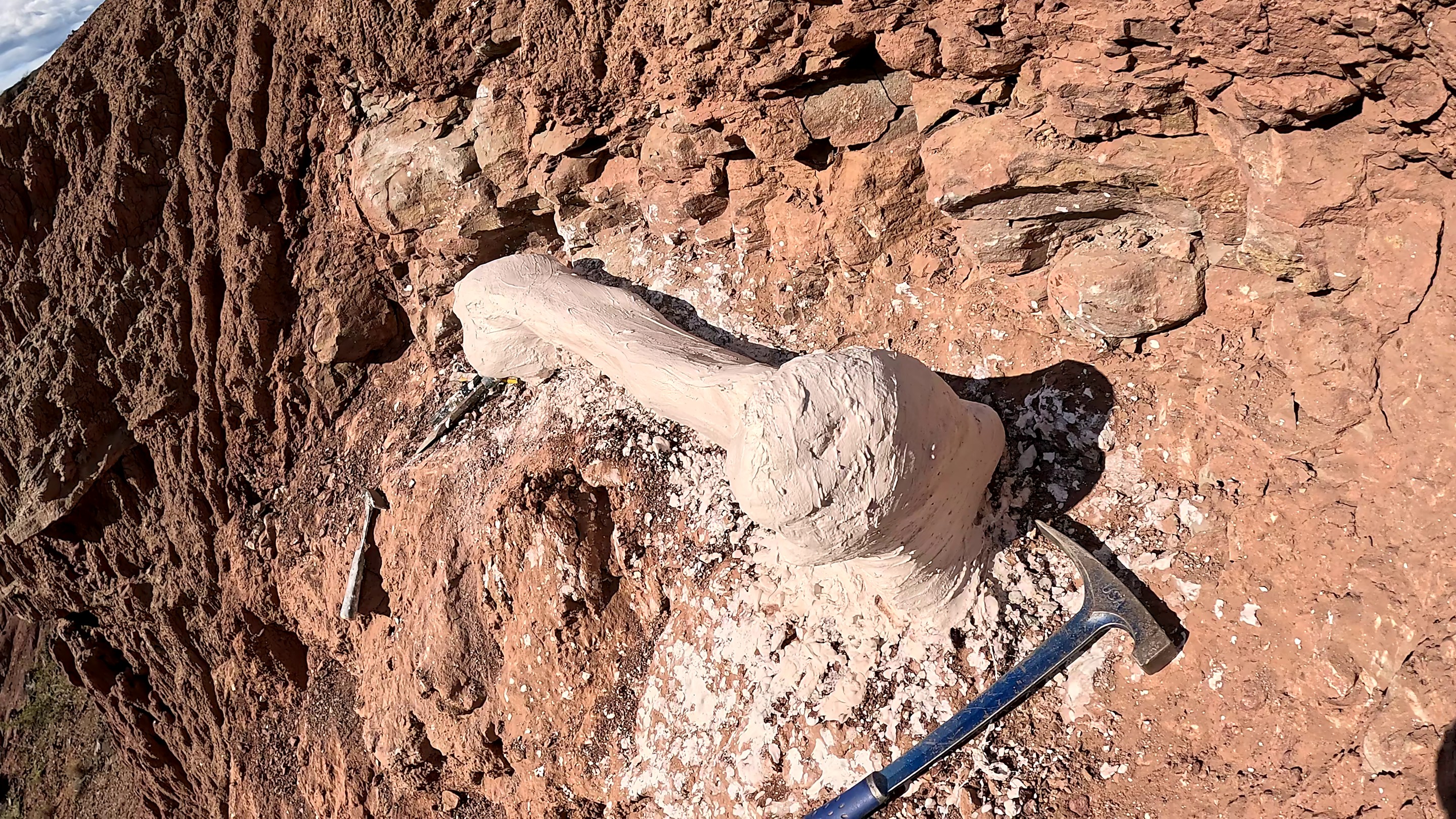 O que um osso de dinossauro encontrado no Peru pode revelar sobre o passado da Terra