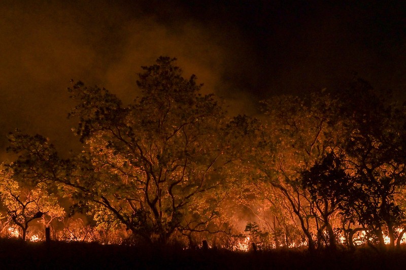 Vice-presidente da ALE-RR pede que governo decrete calamidade pública devido às queimadas