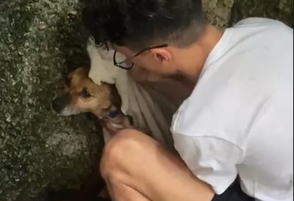 Marcelinho foi encontrado após atropelamento em SP — Foto: Arquivo Pessoal