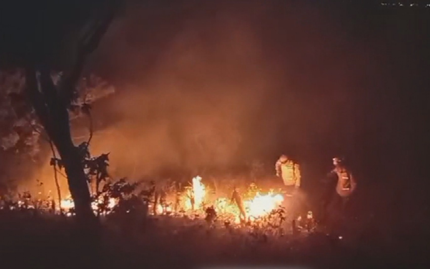 Incêndio consome mais de 1,2 mil hectares de Cerrado na Chapada dos Veadeiros 