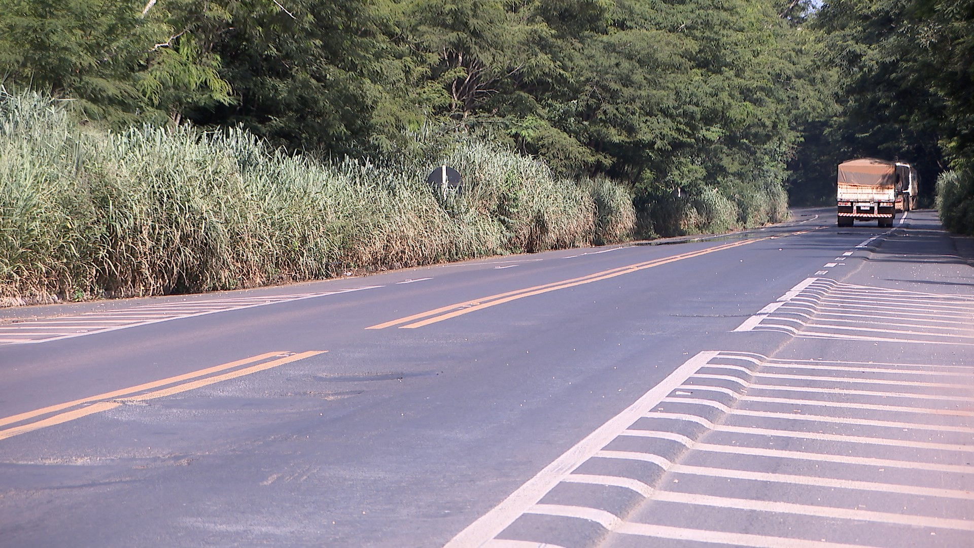 Um em cada quatro caminhoneiros circula sem cinto de segurança no Triângulo Mineiro
