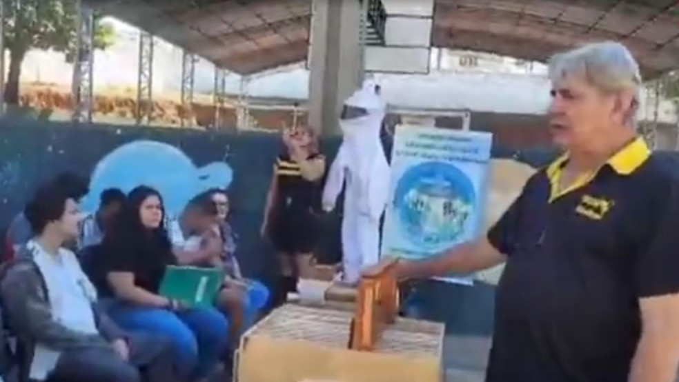Alunos tiveram palestras sobre a importância das colmeias em Rio Preto — Foto: Reprodução