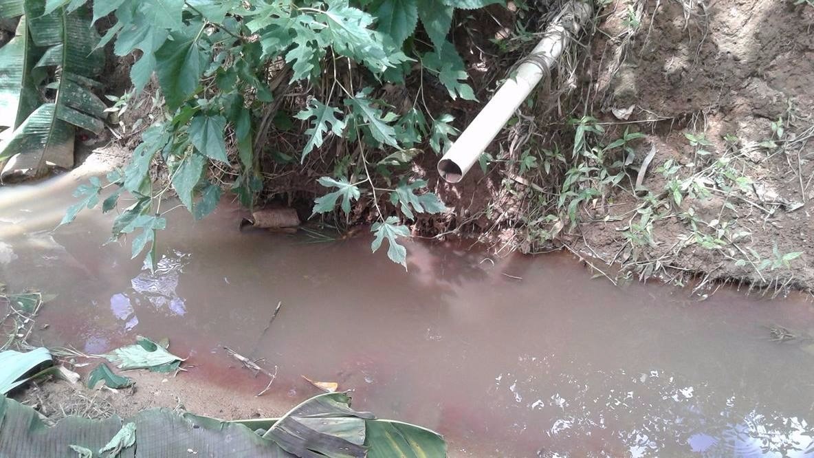 Moradores de distrito de Caratinga cobram por saneamento básico