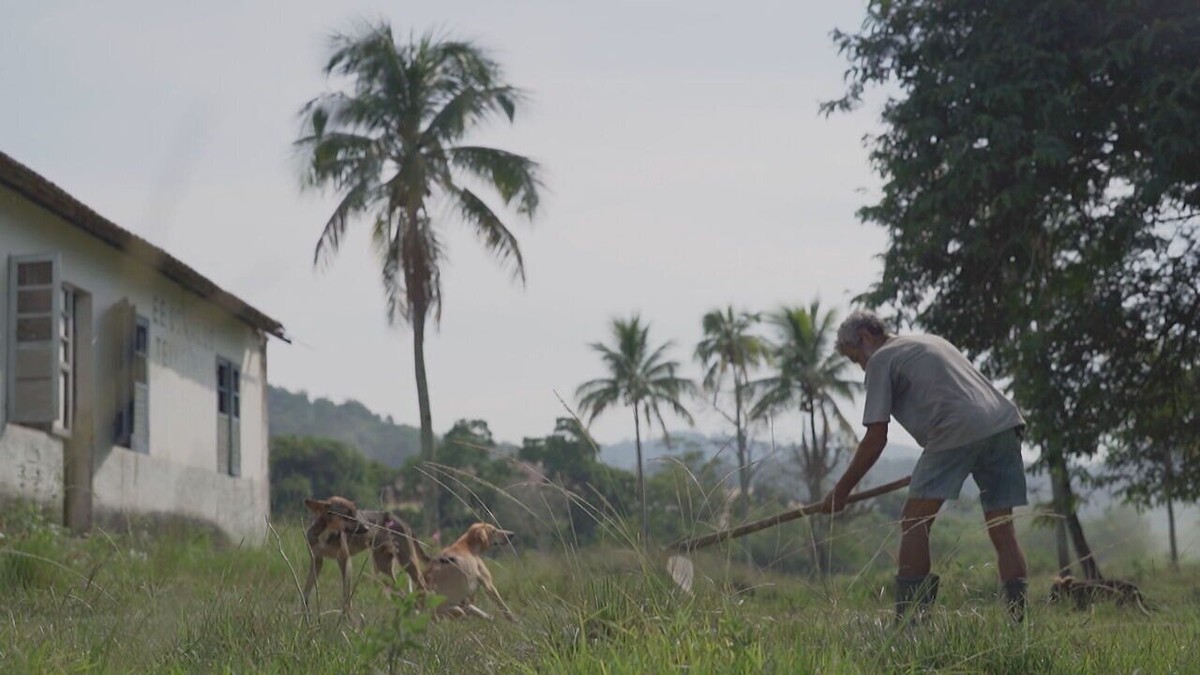 'Invisíveis: Série do Fantástico mostra as dificuldades de quem tenta arrumar emprego sem ter documentos