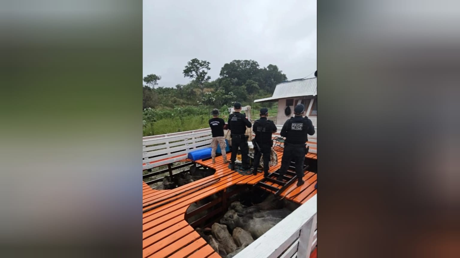 Sefa apreende bebidas, madeira e combustível em operações no oeste do Pará
