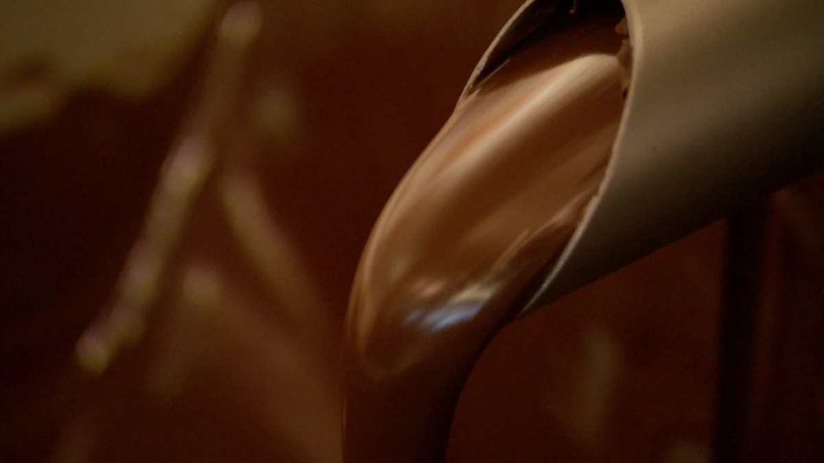 What part of cocoa becomes chocolate?  Is bitterness a defect?  Test your knowledge in the QUIZ