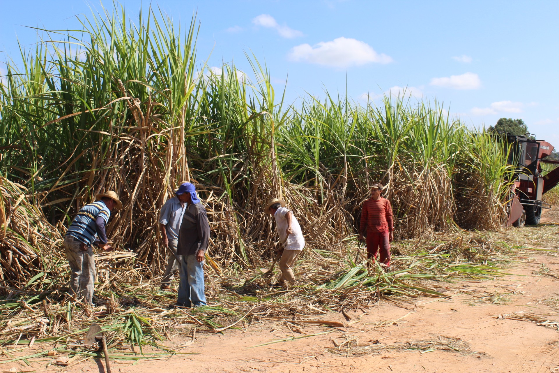 Câmara valida projeto que prevê incentivos para a produção de cana no Nordeste