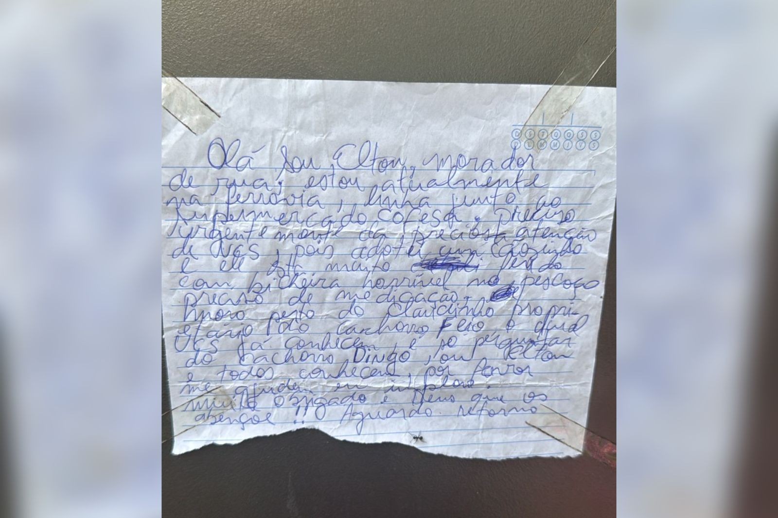 Homem em situação de rua deixa carta em ONG pedindo ajuda para cão doente no interior de SP: 'Por favor, me ajudem, eu imploro'