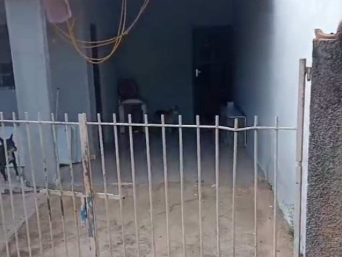 VÍDEO: onça é flagrada dentro de garagem e 'encara' cachorro em Espírito Santo do Pinhal