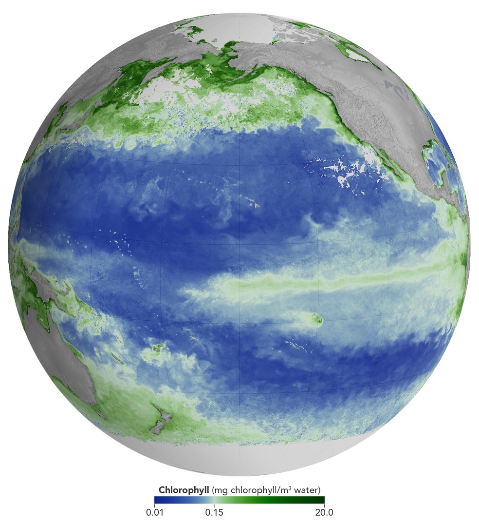 Imagem NASA Earth Observatory/Michala Garrison/PACE