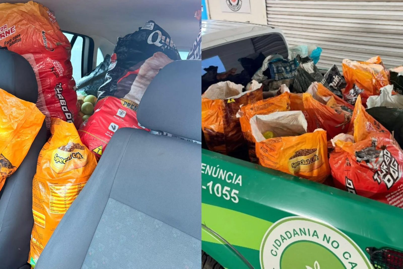 GCM recupera 200 quilos de laranjas furtadas de fazenda no interior de SP
