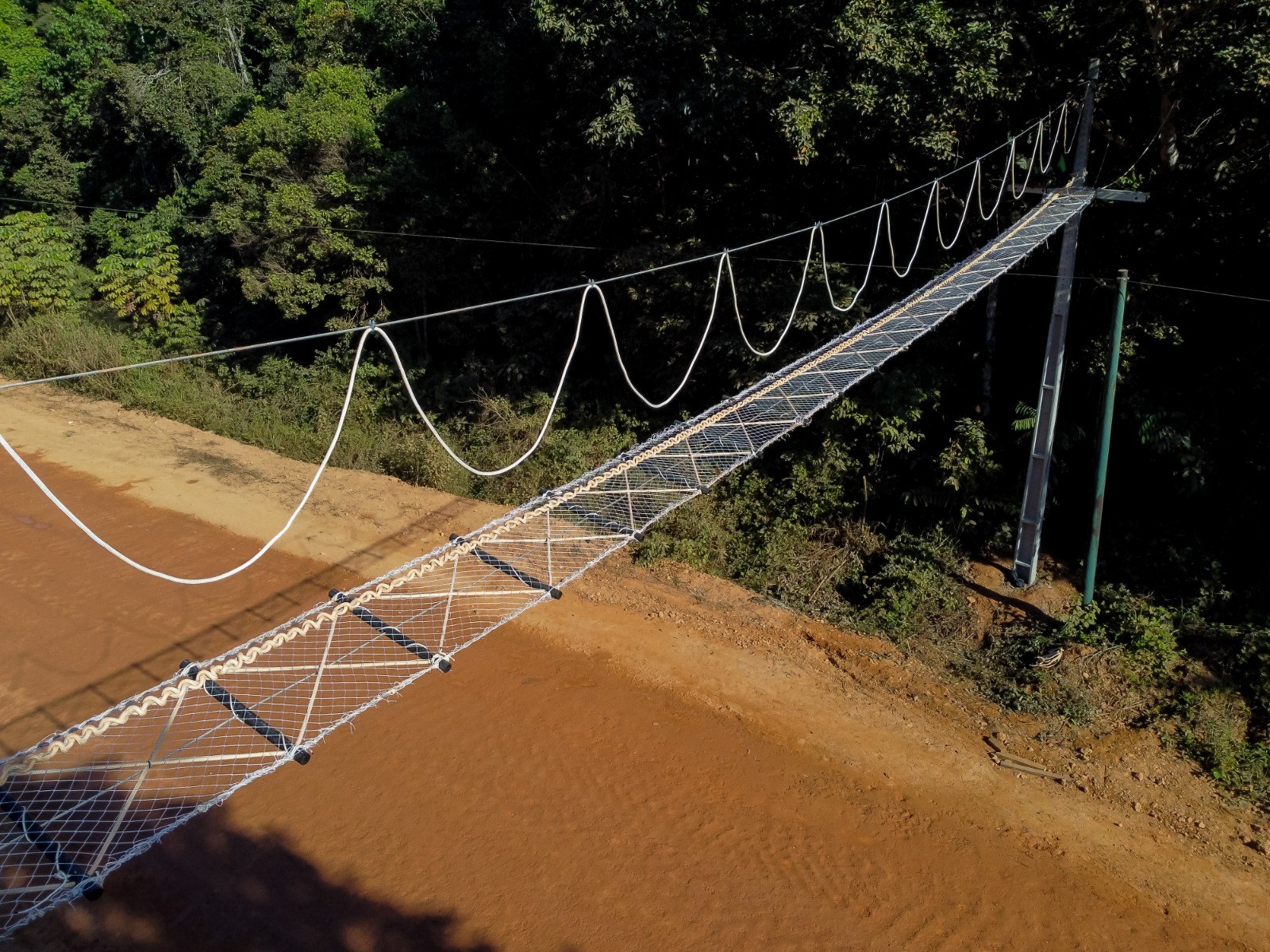Rodovia na floresta: reconstrução da BR-319 divide opiniões e levanta debate sobre preservação