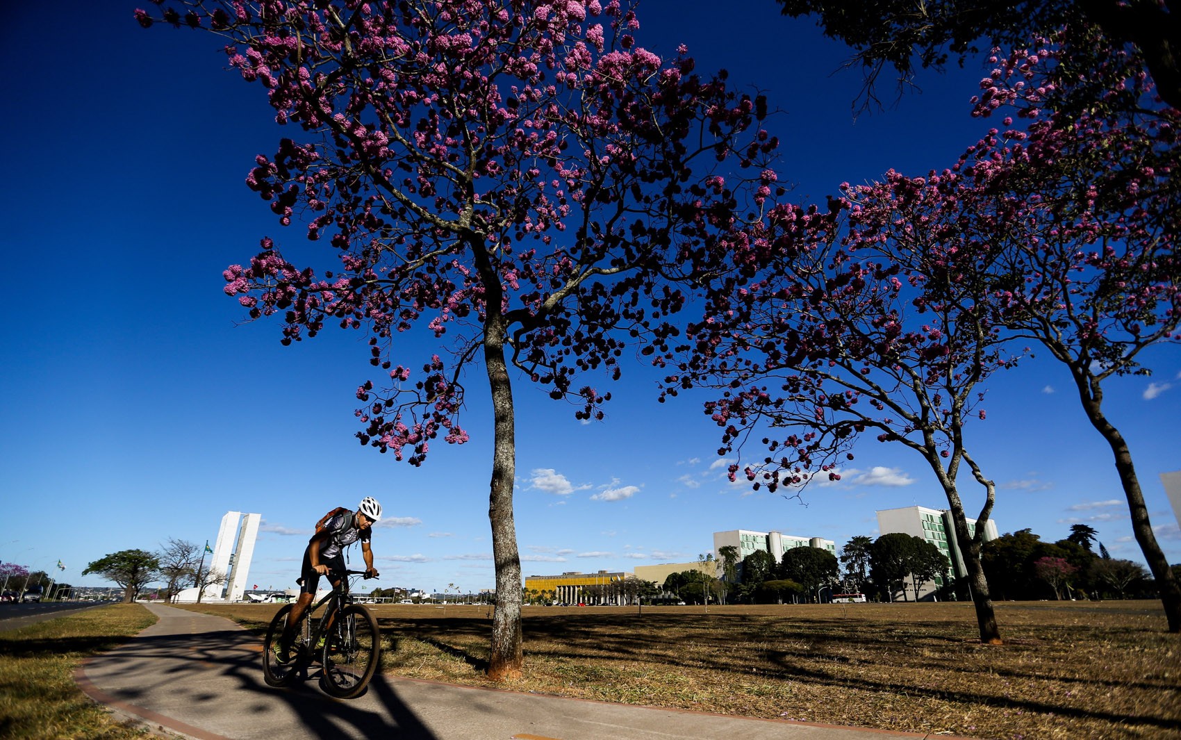 Dia de Corpus Christi será de frio e seca no DF; veja previsão