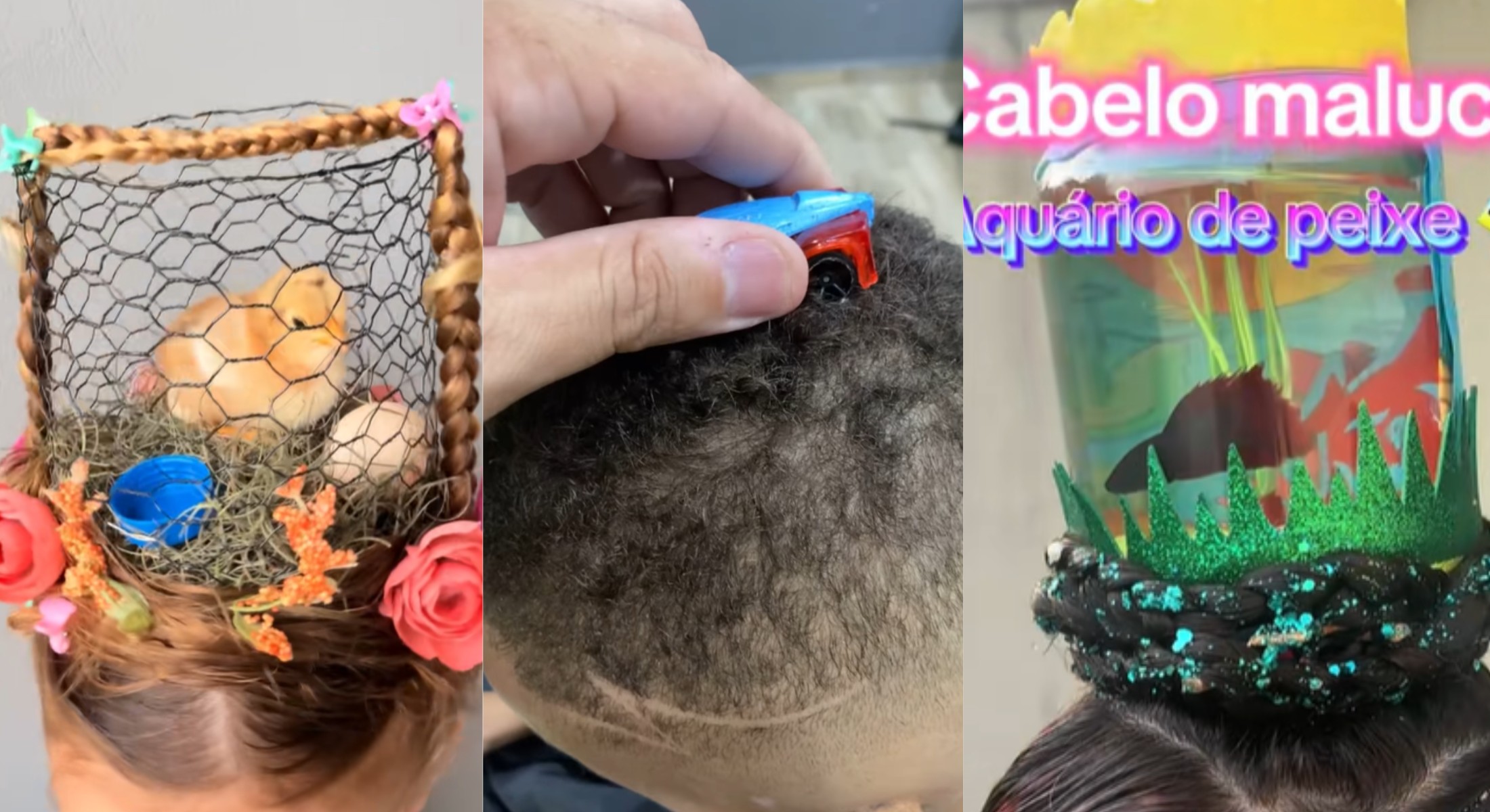 Dia do cabelo maluco: animais vivos e cola permanente preocupam; saiba o que vai bem e o que pode dar ruim