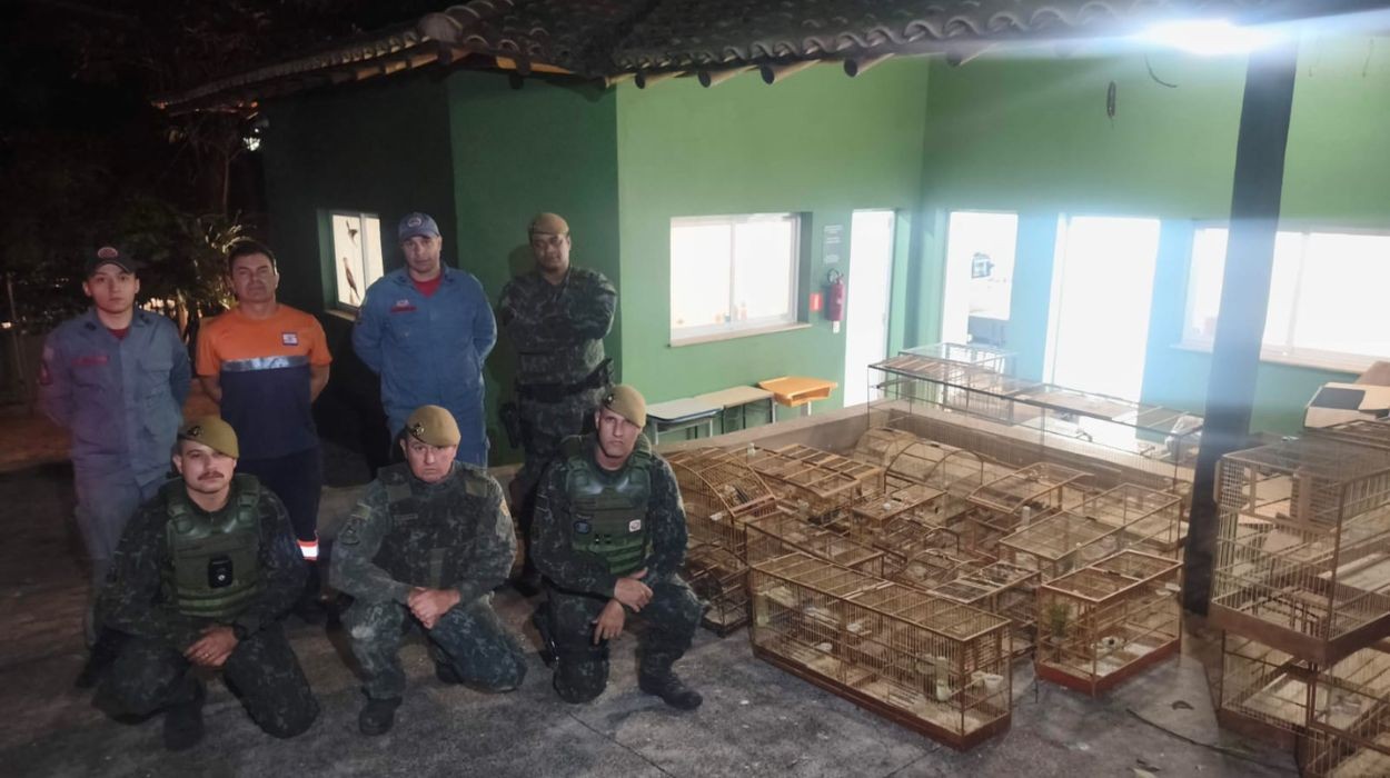 Homem é multado em R$ 84 mil por maus-tratos e cativeiro irregular de aves no interior de SP