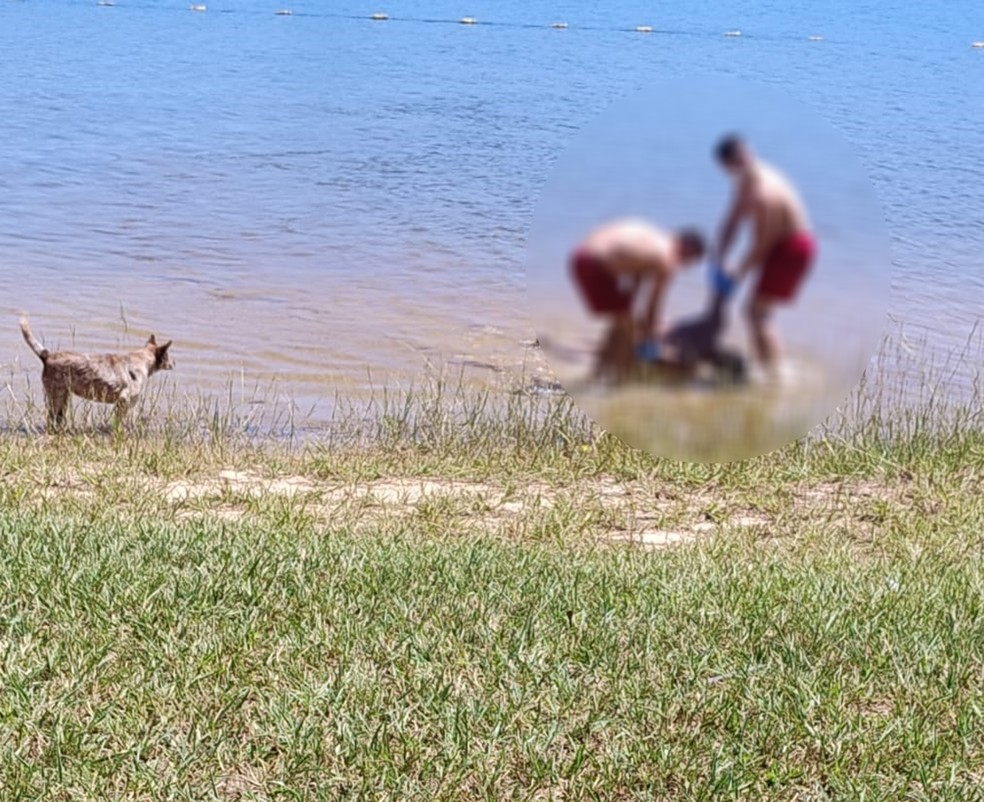 Corpo de homem é encontrado em Rancharia (SP) — Foto: Cedida