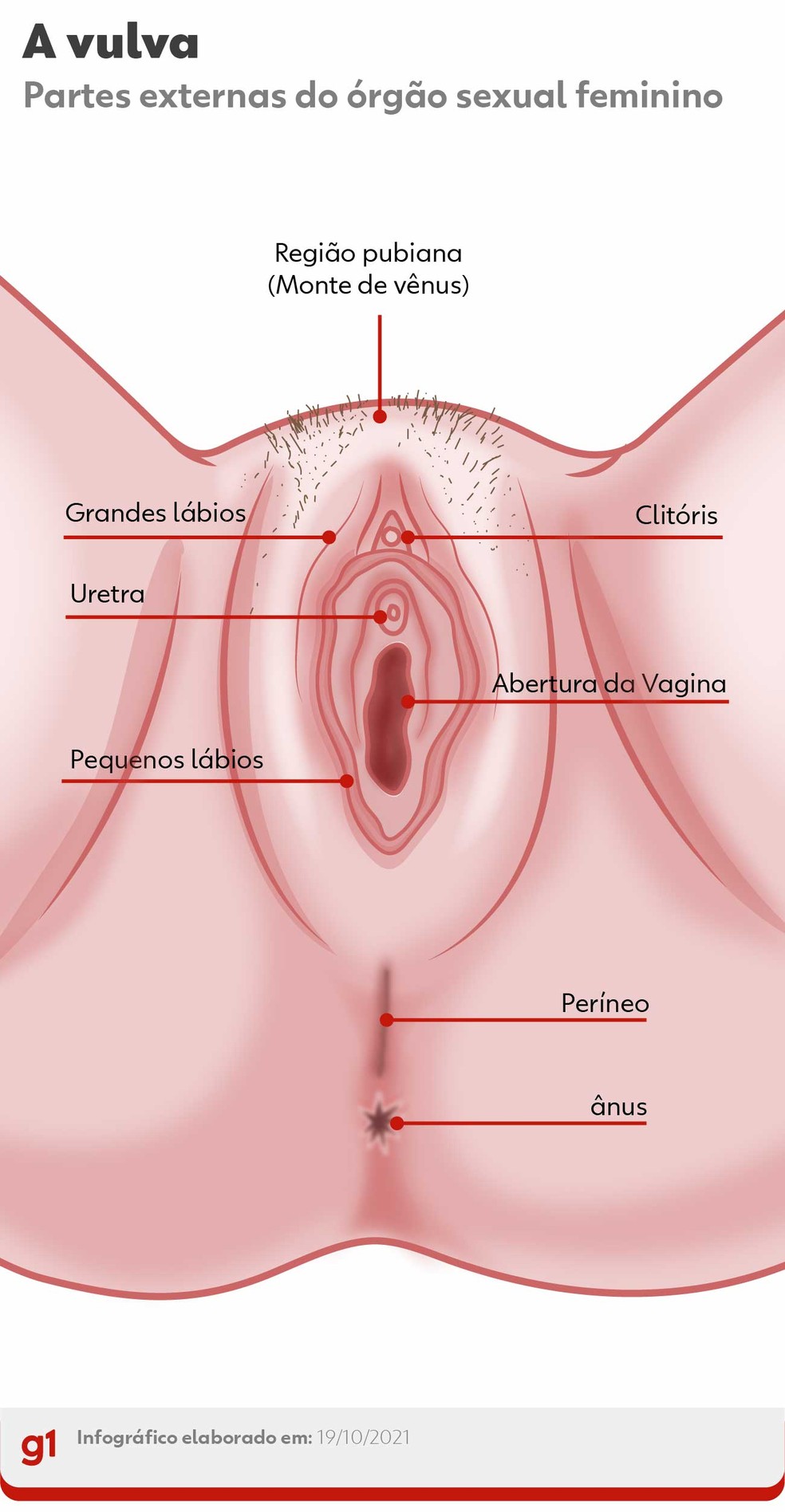 Imagens de uma vagina