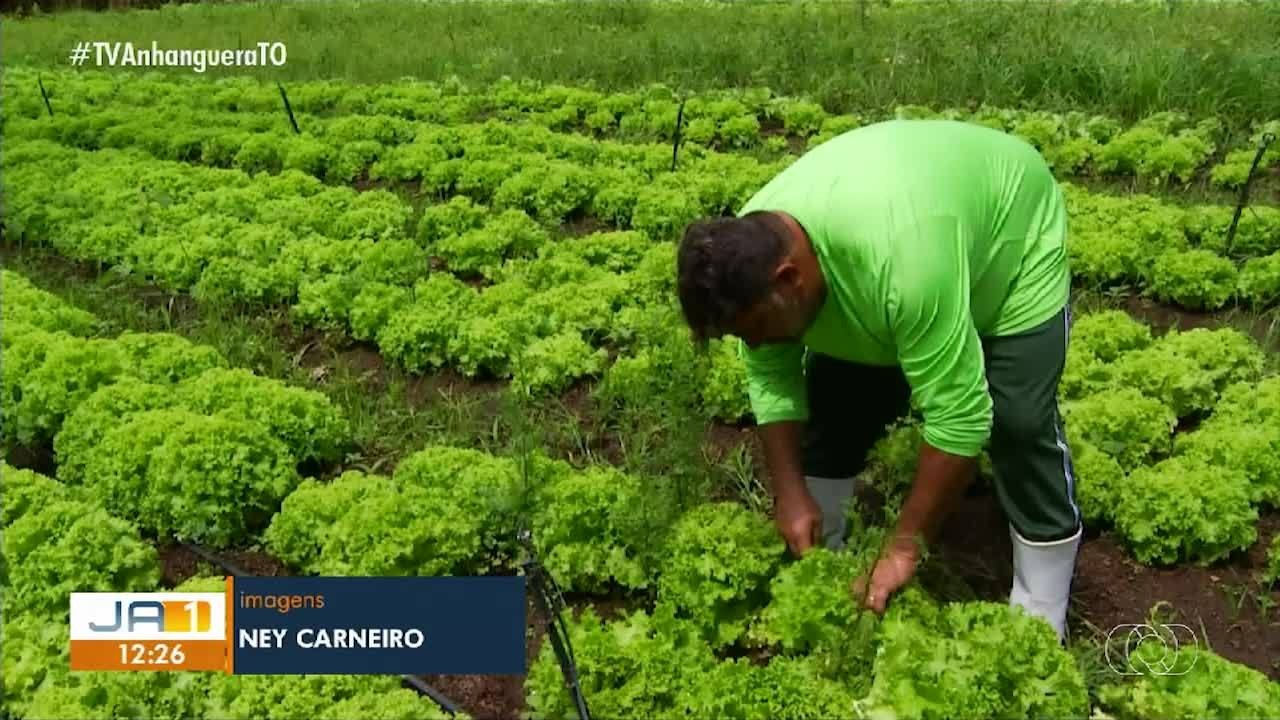 VÍDEOS: Jornal Anhanguera 1ª Edição de terça-feira, 20 de janeiro de 2026