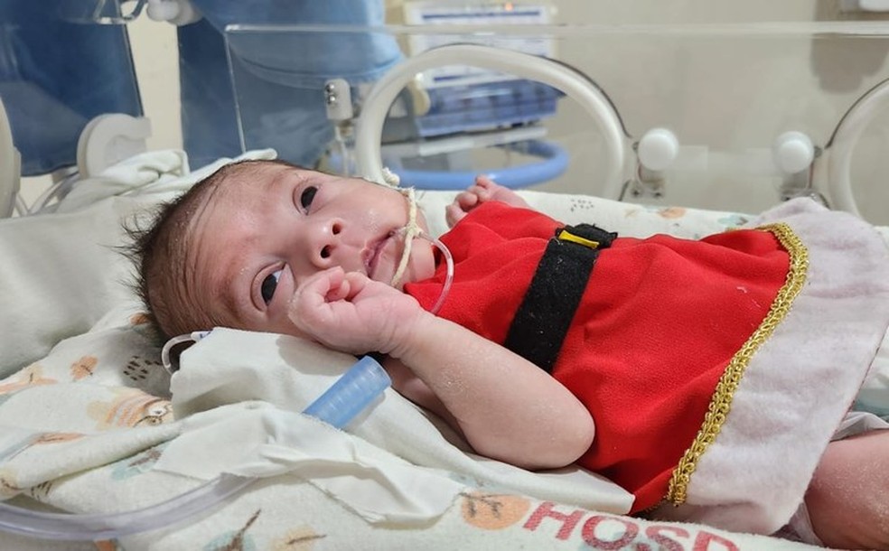 Bebês internados não tiveram prejuízo na saúde com a ação no hospital — Foto: SES