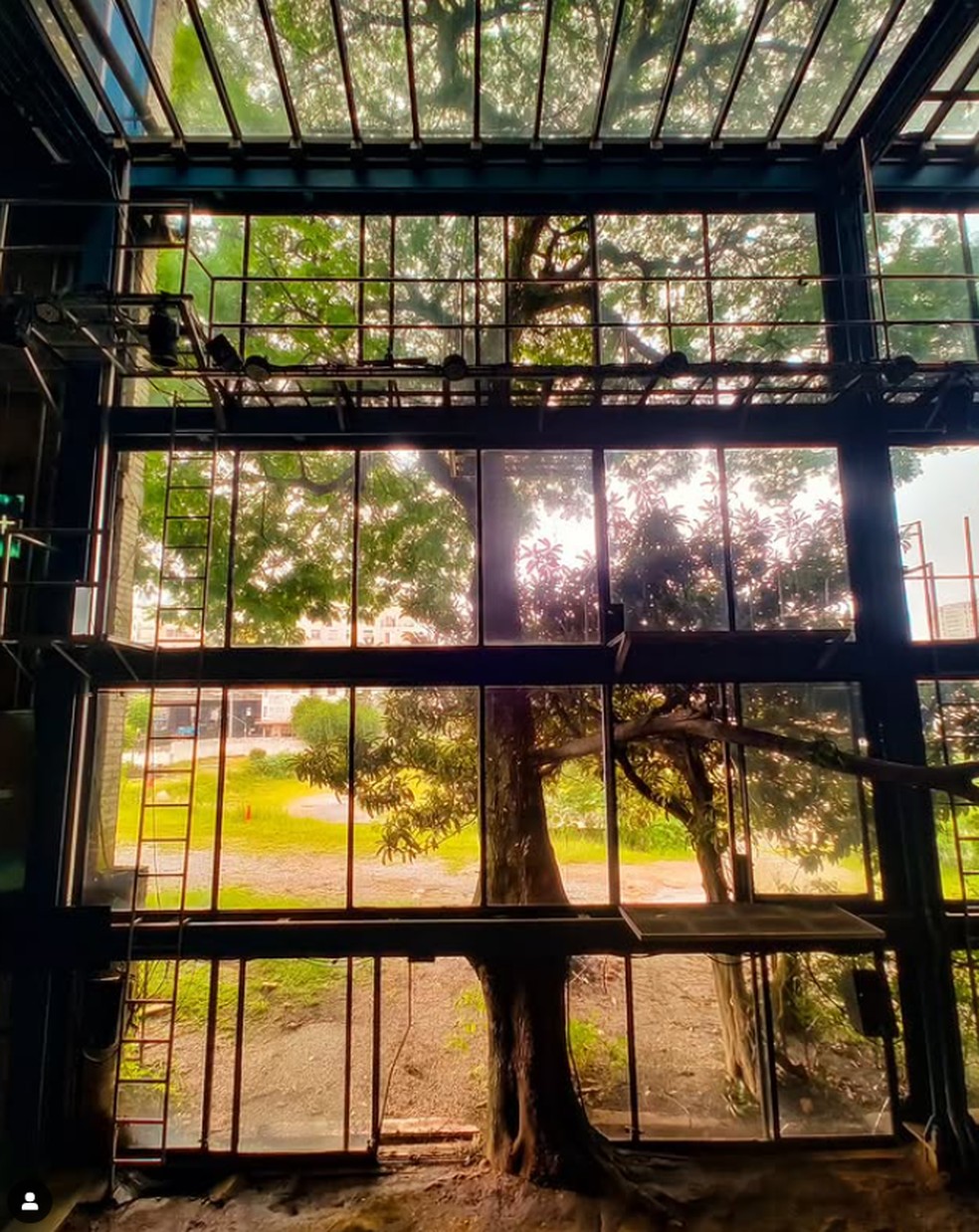 Imagem Reprodução/Igor Matorri/Teatro Oficina