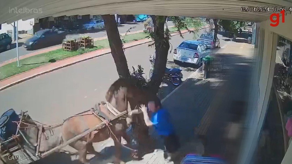 Vereador é mordido por cavalo em calçada de São Manoel do Paraná — Foto: Reprodução