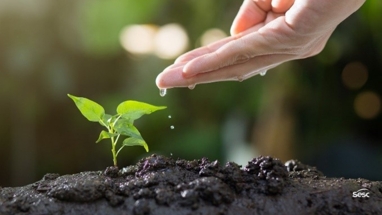 Sesc Piracicaba realiza seminário sobre justiça climática 