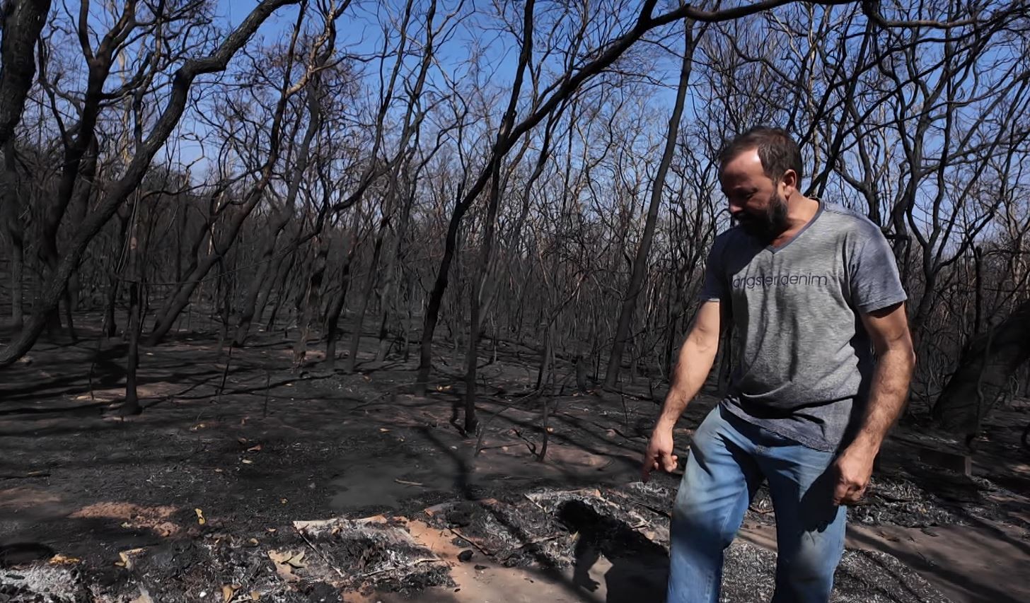 Incêndios em SP destroem apiários, comprometem produção de mel e polinização de plantas: 'trabalho de uma vida inteira foi embora'