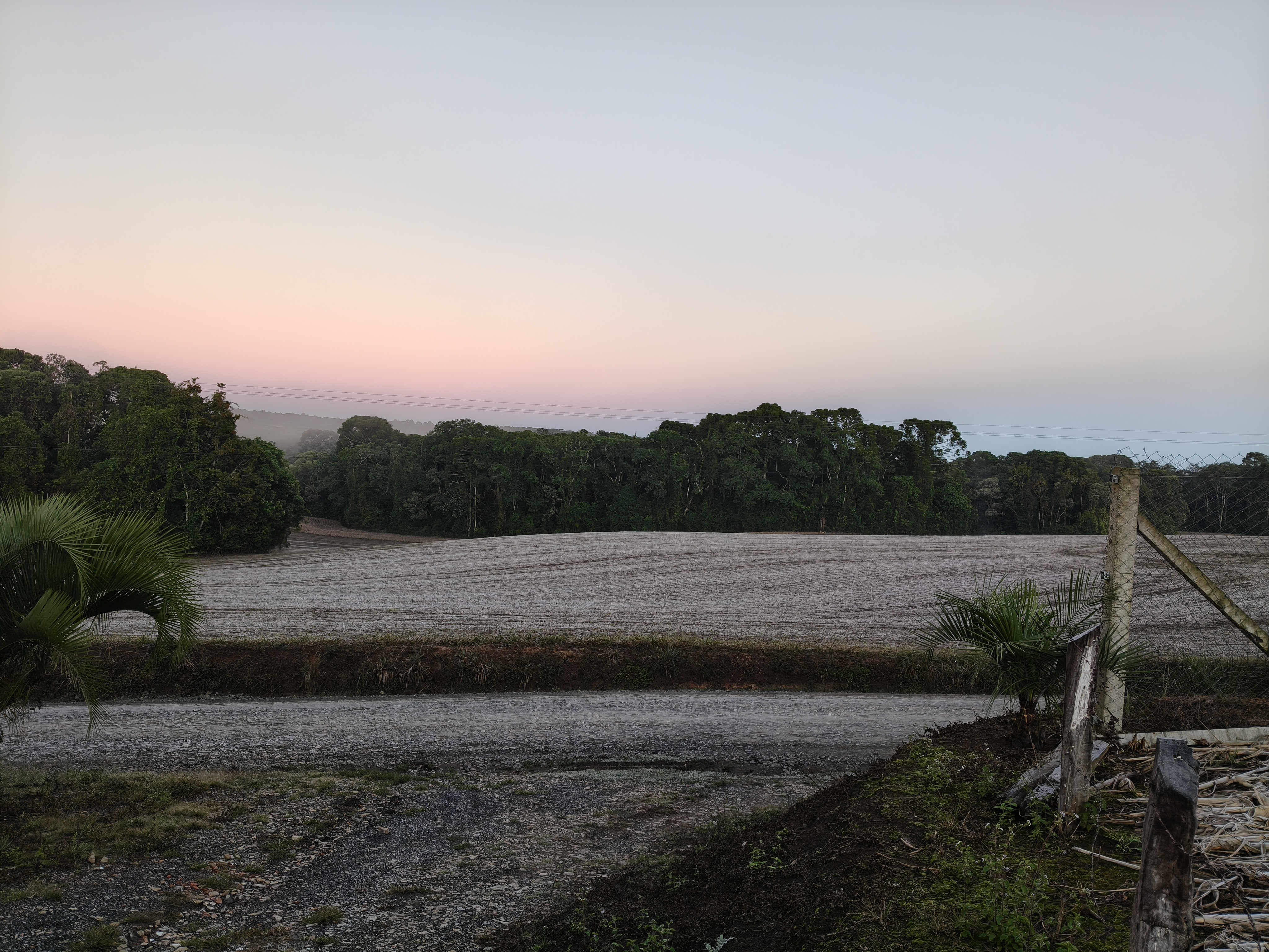 Paraná amanhece com geadas, temperaturas negativas e sensação térmica de -7,5ºC; veja imagens e a previsão do tempo