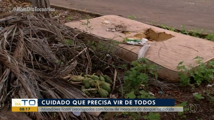 Moradores de Palmas se preocupam e evitam focos da dengue
