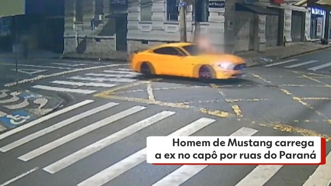 MERCADO LIBRE: ¡Mascotas Desaparecidas, Misterio Resuelto… A Medias!