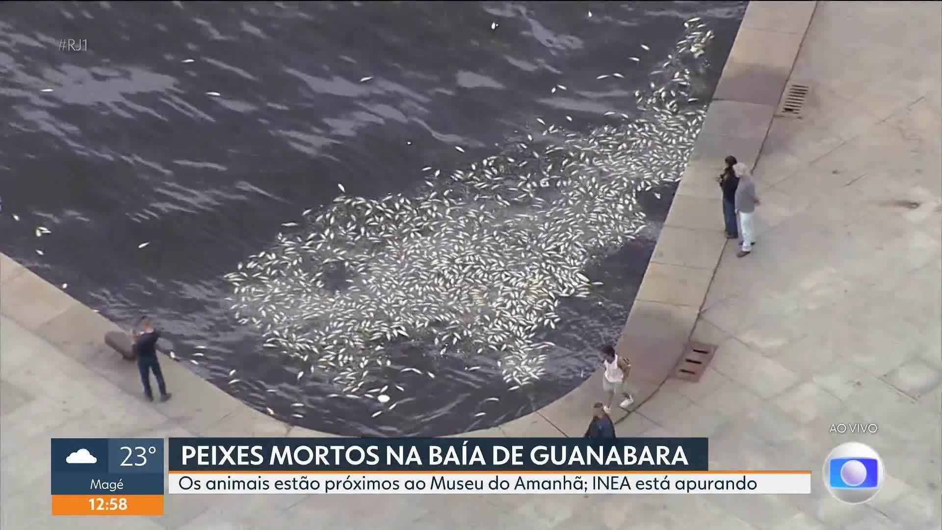 VÍDEOS: RJ1 de quinta, 22 de outubro de 2026