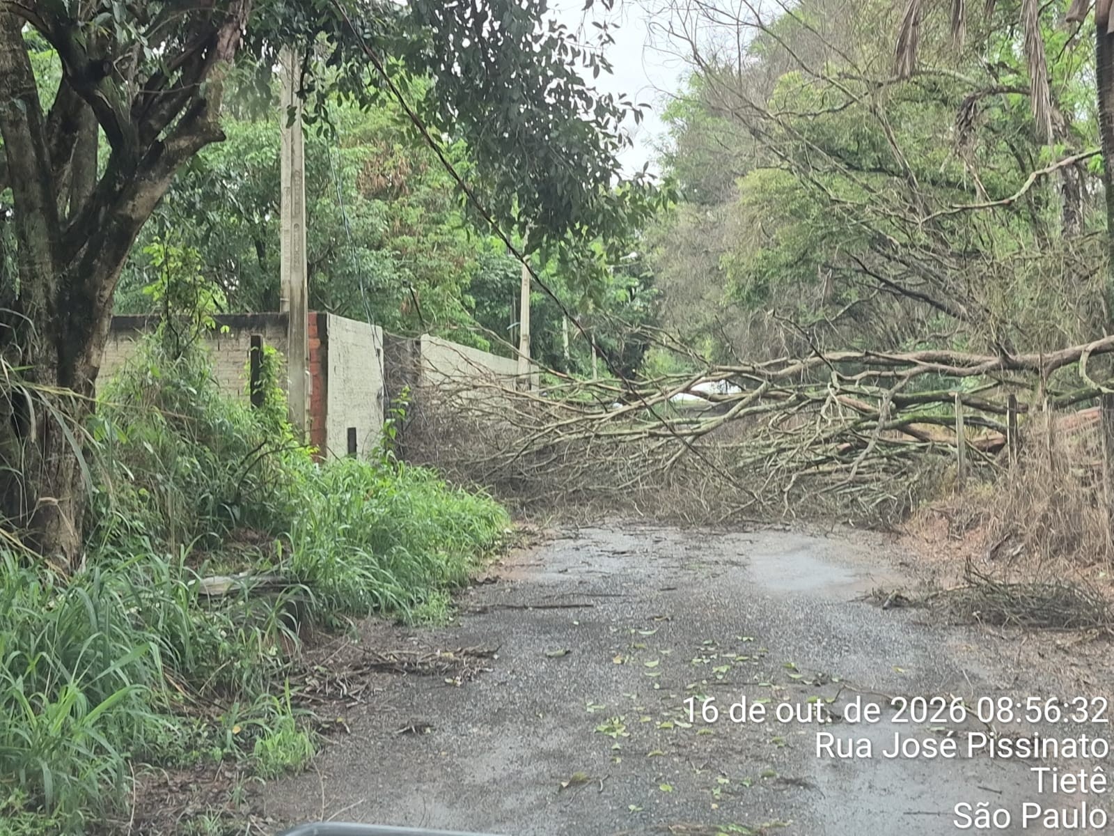Chuva causa queda de árvores e deslizamentos de terra em cidades do interior de SP