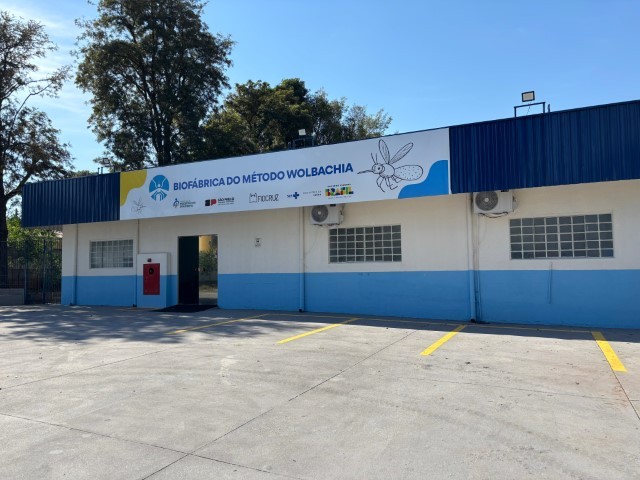 Presidente Prudente usa bactéria Wolbachia em mosquitos para combater dengue e outras arboviroses